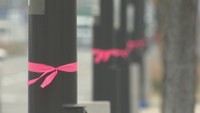 香川の街路灯にピンク色のリボン　誰が？なぜ結んでいる？