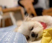 初めてのプールはいかがでしたか？（提供写真）