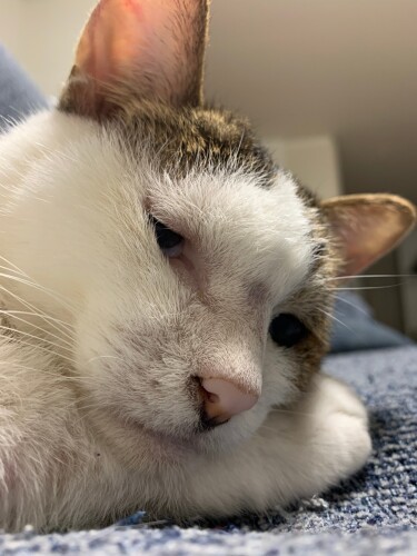 「昔のことは思い出さないの……」（千緒さん提供）