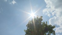 【速報】岡山県で2026年初の猛暑日　高梁市で35℃以上
