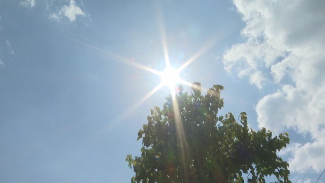 【速報】岡山県で2026年初の猛暑日　高梁市で35℃以上