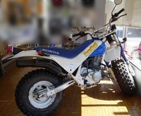 ホンダTR200 FATCAT　「太った猫」という名前、猫っぽいロゴマークの砂地用レジャーバイク。輸出モデルなので国内にはほとんど出回りませんでした