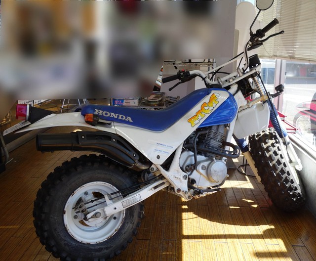 ホンダTR200 FATCAT　「太った猫」という名前、猫っぽいロゴマークの砂地用レジャーバイク。輸出モデルなので国内にはほとんど出回りませんでした