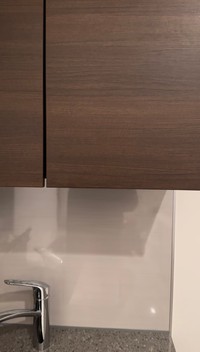 目の前の（画像提供：きなこさん）