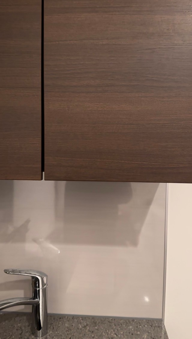 目の前の（画像提供：きなこさん）