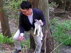 猫２１匹が長野の山中で保護に　遺棄容疑で捜査