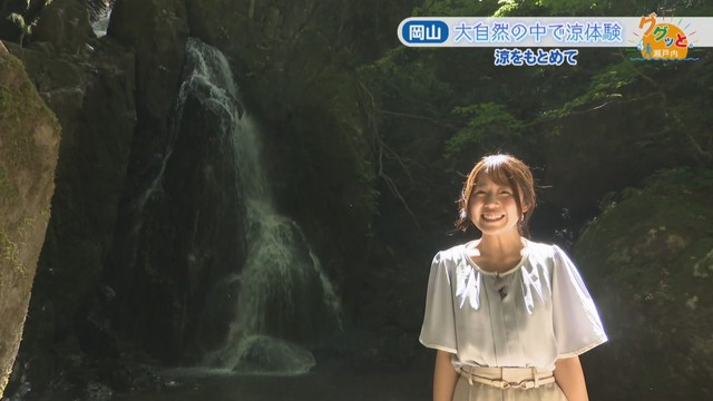 柳下遥アナウンサー