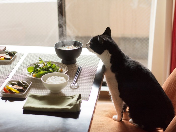 「おじちゃんも、なにもしないのにご飯がもらえるんだね」（小林写函撮影）