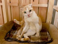 すっかりリラックスしたポーズ