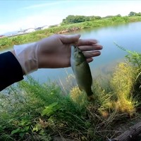 ブラックバスを釣り上げた瞬間／埼玉ママチャリ小物釣りさん（@saitamakomonotsuri）提供