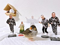 「細川たかし」グッズと、しめじちゃん（画像提供：ハクサイーヌ（固定）@レタスの飼い主さん）