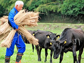福島に残り動物の世話を続ける男　心に背負った十字架