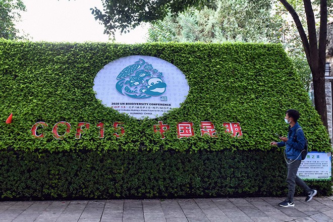 Countries call for urgent action on biodiversity with 'Kunming Declaration' | The Asahi Shimbun: Breaking News, Japan News and Analysis - Vimarsana News