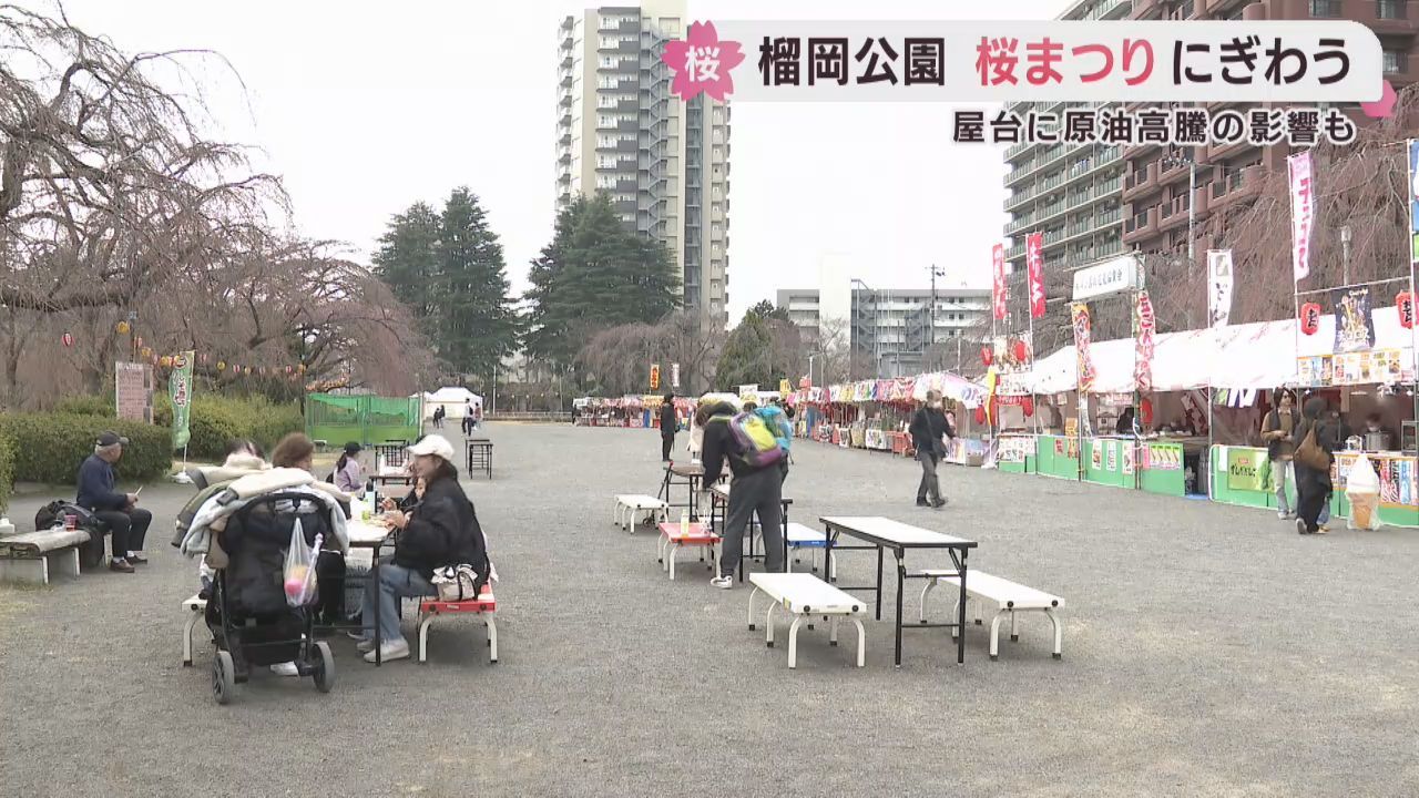 仙台・榴岡公園で桜まつり開催中　咲き始めの花やつぼみを楽しむ