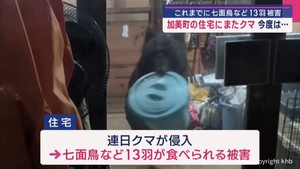 宮城・加美町の住宅にまたクマ侵入　今度は…　これまでに七面鳥など１３羽被害