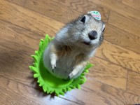 え、今日出荷ですか？（提供写真）