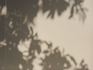 「度胸がある」「たくましくなった」と言われる私の自覚と虚像