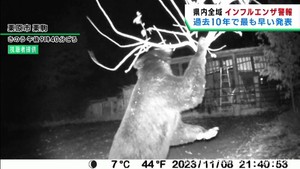 再びクマが出没しニワトリを襲う　宮城・栗原市