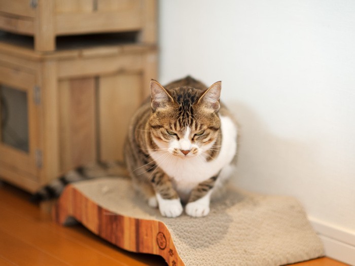 「２回にわたる私のお話、ご愛読いただきありがとうございます」（小林写函撮影）