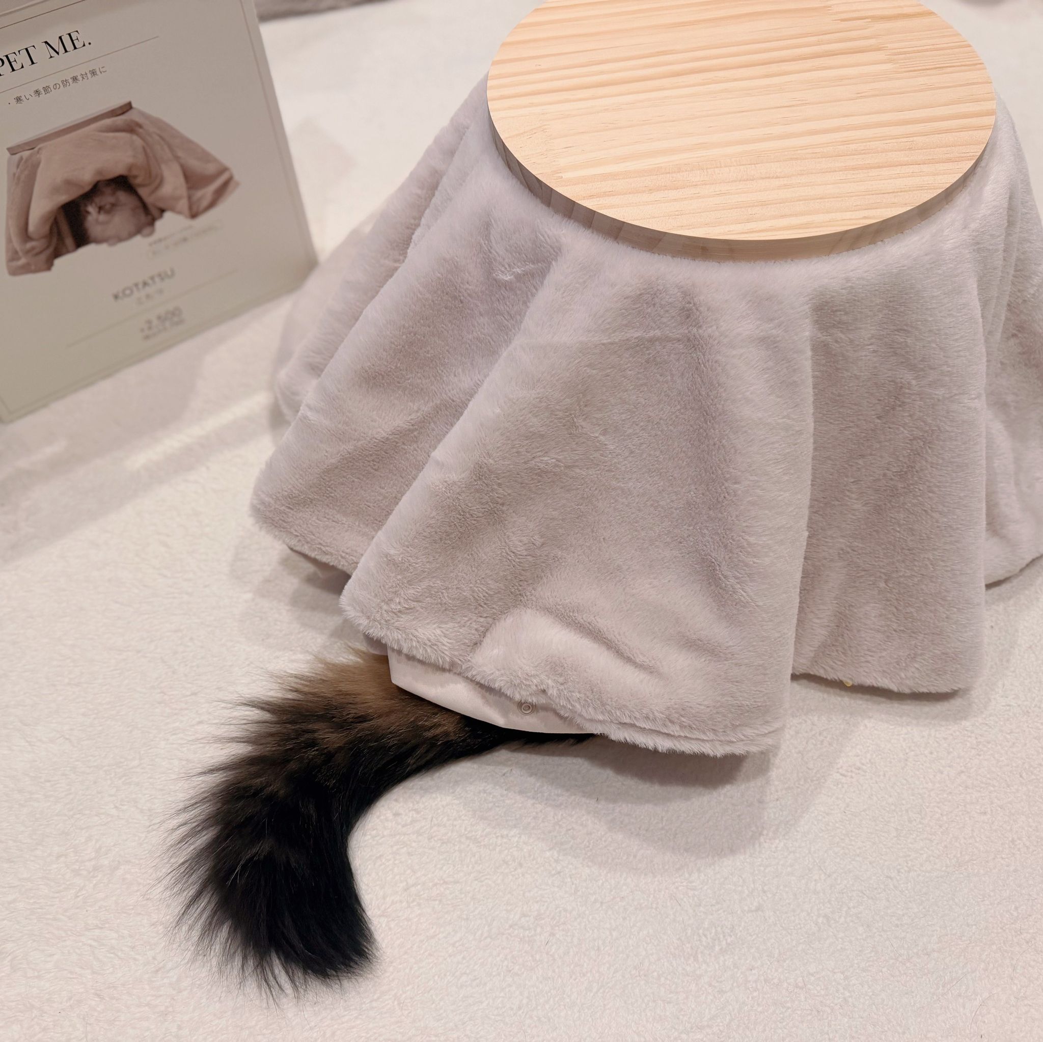 猫用コタツ「組み立て後3秒で吸い込まれていった」猫さん 「頭隠して