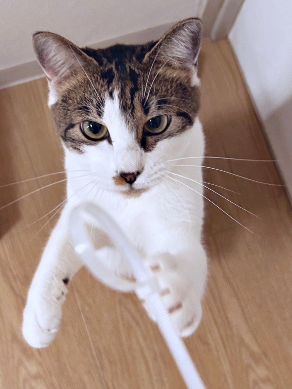 夢中で遊ぶかぢめくん（画像提供：かさねさん）