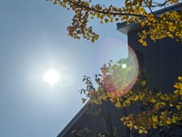 高松市上之町（23日正午過ぎ）