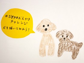 sippoおえかきチャレンジ　犬を描いてみよう