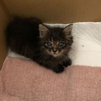 おうちに来た時、ちょっと緊張