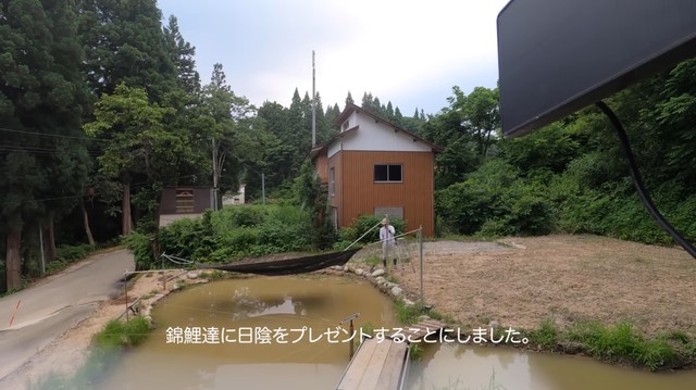 池に日陰をつくり、魚たちを守る工夫も。「命を大切に育む」姿勢が伝わる／投稿主さん提供