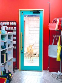 「涼しくなったんでドアを開けっぱなしにしたいんですが、諸事情により閉めております。なんか視線を感じると思ったらやはり」と2021年9月にツイート（さんなすびさんのTwitterより）