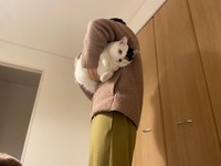 連行されるむーちゃん（提供：mareさん）