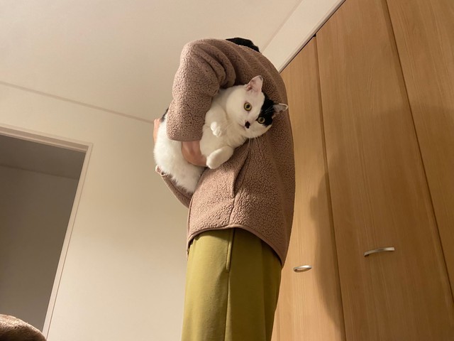 連行されるむーちゃん（提供：mareさん）