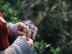 誰のものにもならないと告白しないうちに、彼女は結婚してしまった