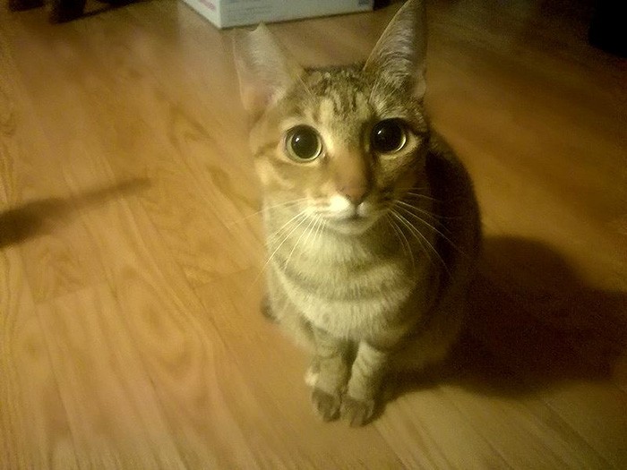 緊張で固まっています