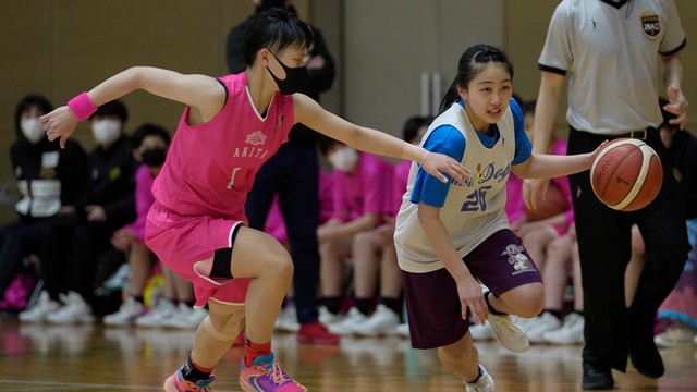 ミニドッグス―秋田ノーザンハピネッツ