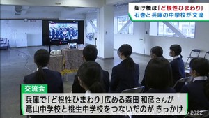 「ど根性ひまわり」が架け橋に　宮城・石巻市と兵庫県の中学生が交流