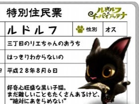 映画「イッパイアッテナ」の黒猫ルドルフ、岐阜市民に