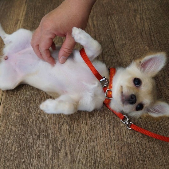 お泊まり1週間がんばったよ！（UG提供）