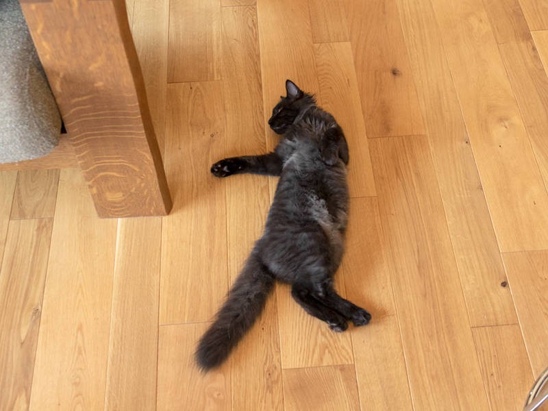 今日はありがとね