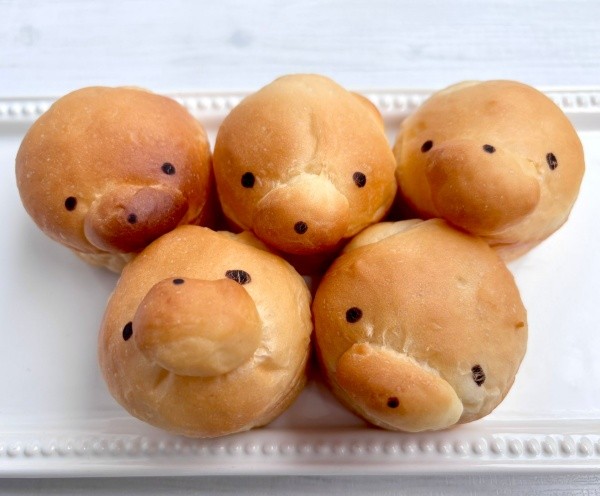 耳が無くなったクマさんパン（画像提供：ピジョンビレッジさん）