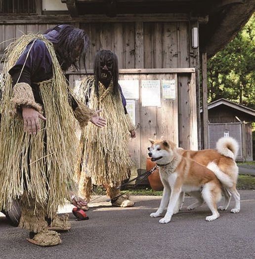 「秋田犬 ゴンとトラ あきたけんじゃないよ あきたいぬだよ」（講談社）より