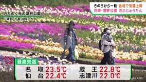 宮城県各地で季節先取りの暖かさ　チューリップと菜の花が見頃　川崎町みちのく杜の湖畔公園