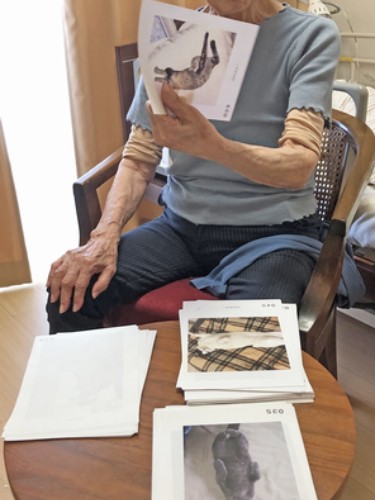 へそ天写真集『へそ天にゃんこ』に掲載する写真の最終選考には、施設で暮らす、すむぞうさんのお母さんも参加されたそう（へそ天プロジェクト提供）