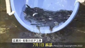 ７月のアユ漁解禁を前に稚魚を放流　仙台・青葉区の広瀬川