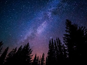 自分の目を疑った。オーストラリアのとある街で見上げた満天の星空