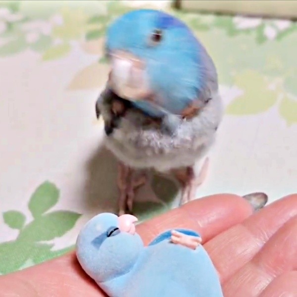 次の瞬間、ルゥくん体をクネクネーー（画像提供：saekoさん）