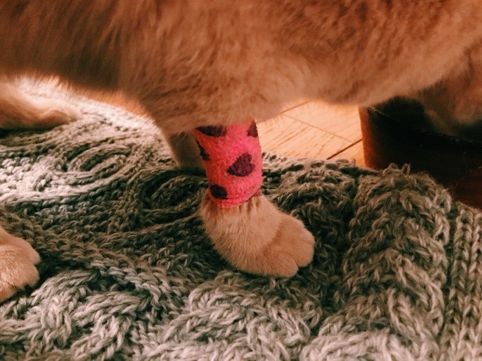 チューリップチキン