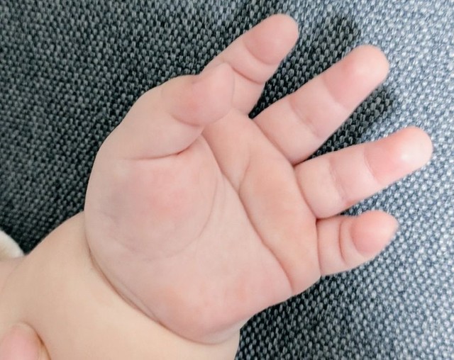 左手にも見事な「ますかけ線」が ※最中もなかさん提供