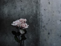 高3の夏休み。塾で涙が止まらなくなった私が両親に伝えた言葉