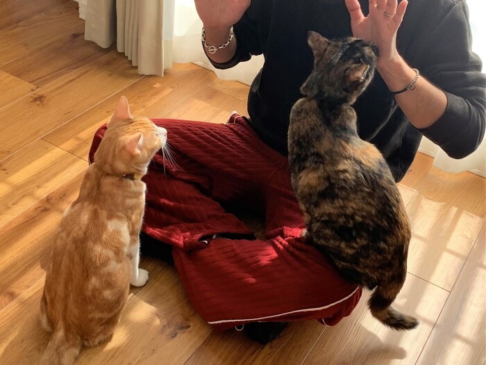 「おやつ、もうないよ」（ゆりさん提供）

